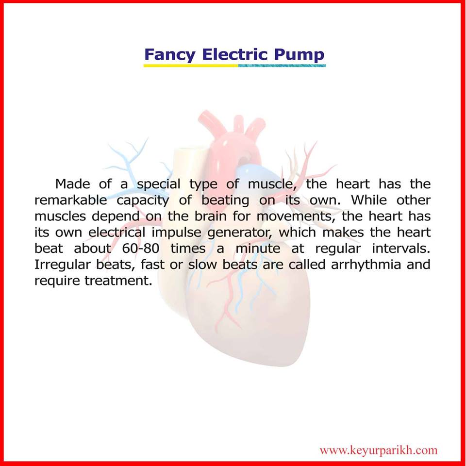 Fancy Electric Pump