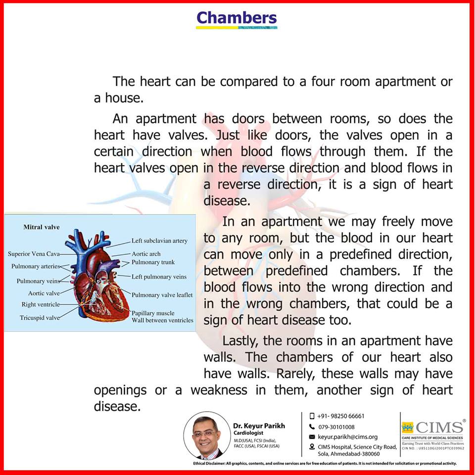 Chambers of heart. 