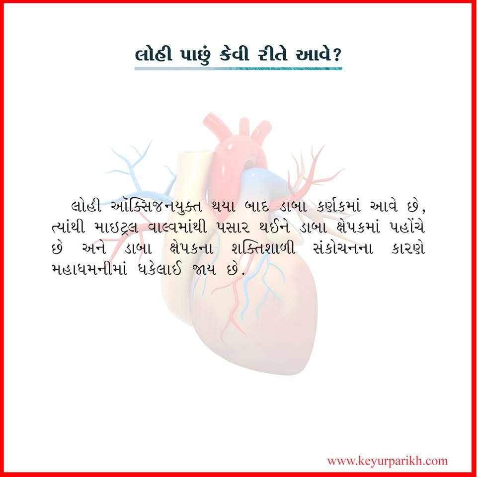 લોહી પાછું કેવી રીતે આવે?