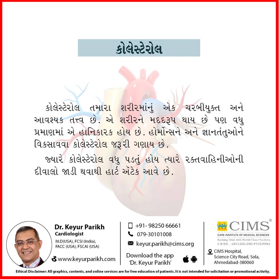 કોલેસ્ટેરોલ અને તમારા હૃદયનું સ્વાસ્થ્ય.